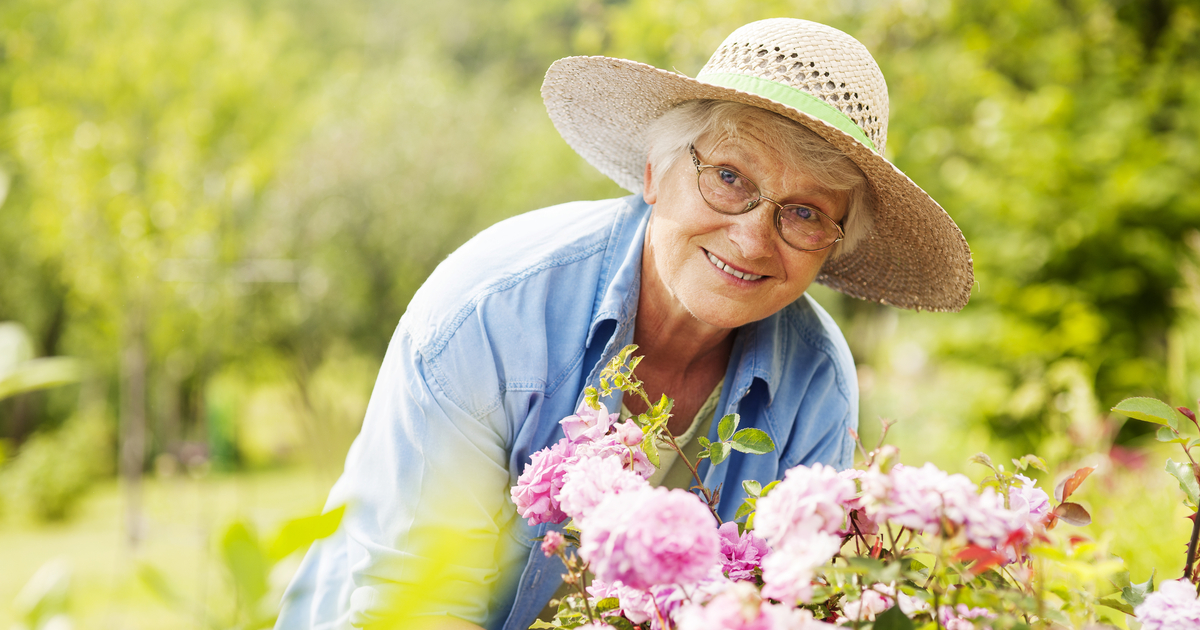 Seniors stay active gardening