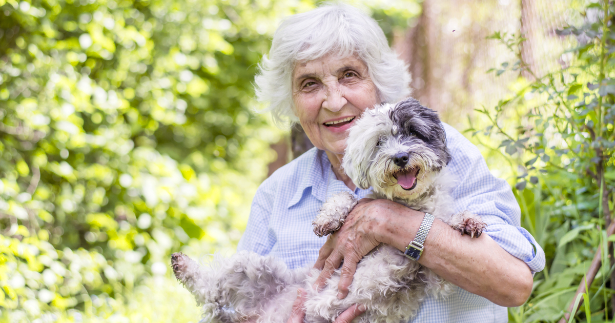 How getting a pet can help a senior