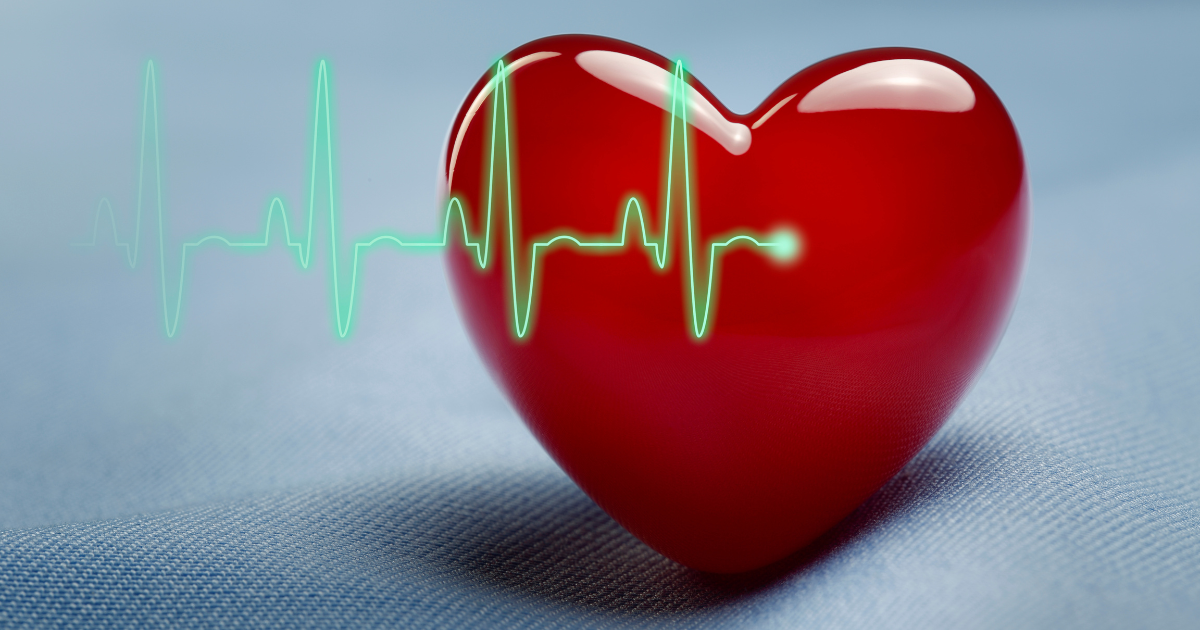 A heart shape and echocardiogram represent Heart Month