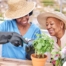 Caregiver and Senior gardening as part of companion care activities.